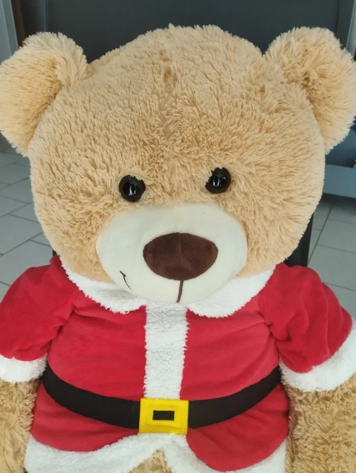 Grande peluche - photo numéro 2