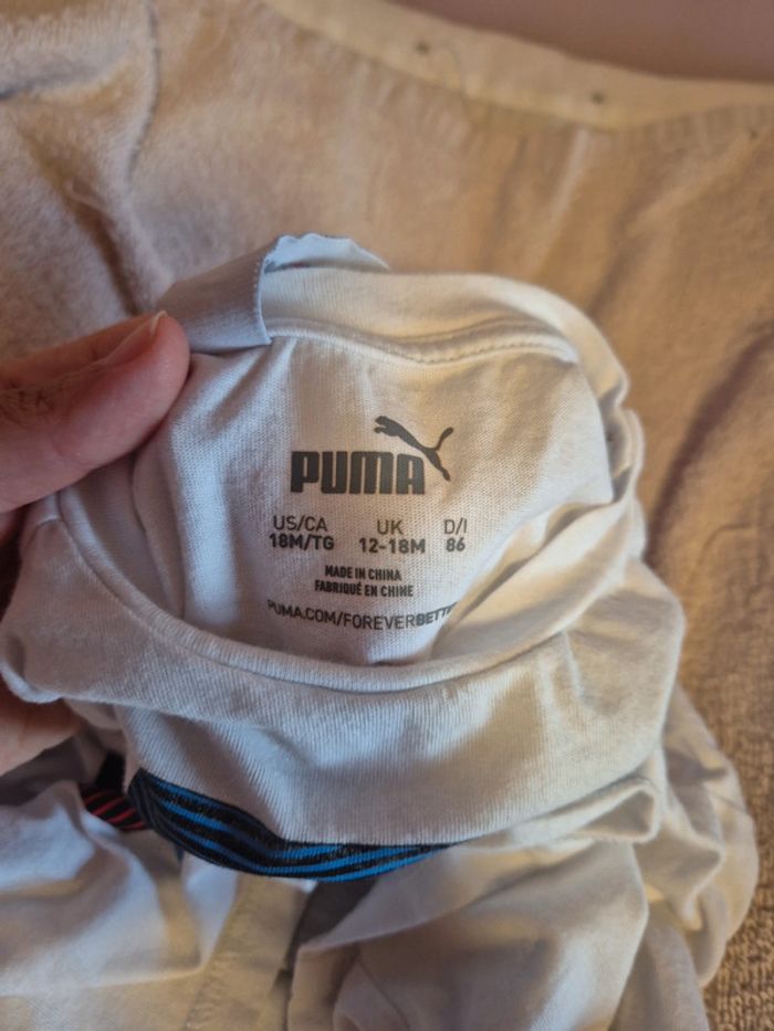 Short T-Short BMW Puma - photo numéro 6