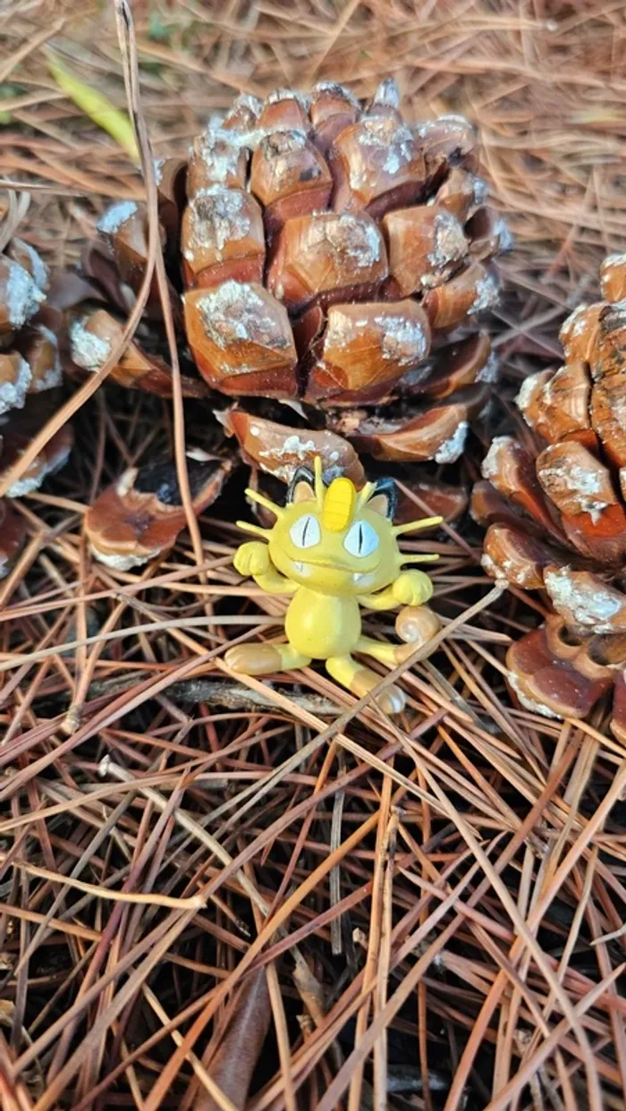 Super figurine Pokemon Nintendo tomy C.G.T.S.J Miaous