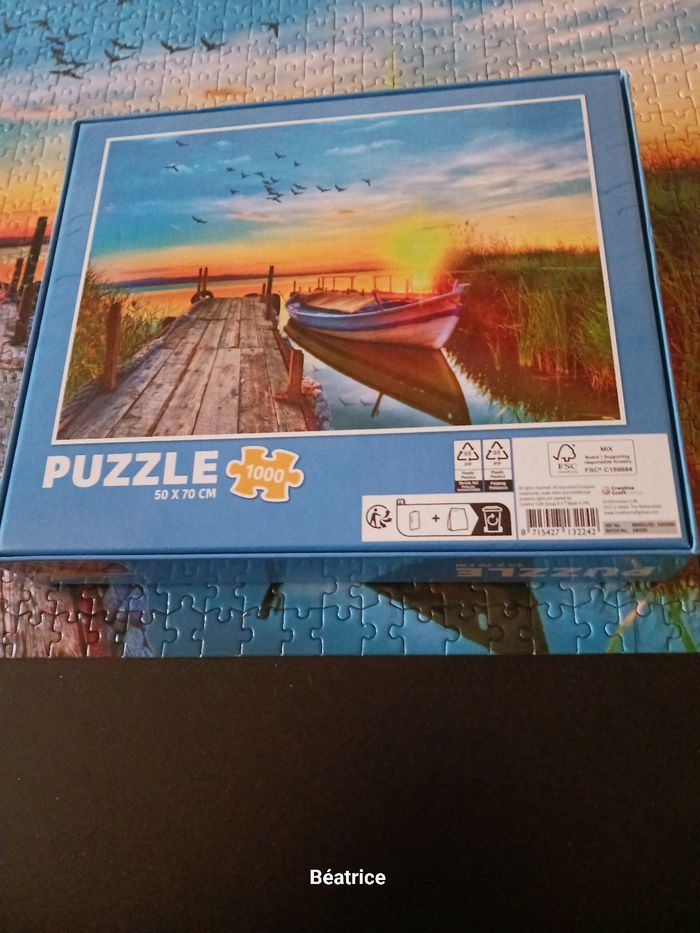 Pulzze 1000 pieces - photo numéro 7