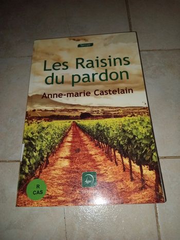 Anne marie castelain : les raisins du pardon