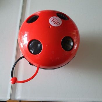 Range tétine coccinelle