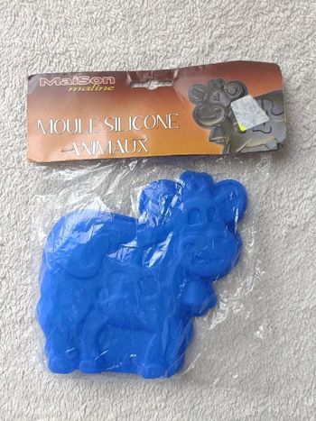 Moule silicone animaux maison saline