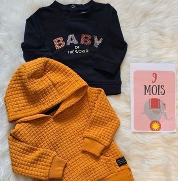 NEUFS (NON PORTÉS)😍🤩💙💙 deux  sweats 9 MOIS garçon 🤩😍💙💙