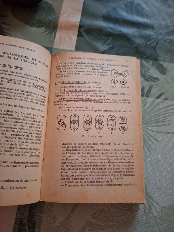 Mémento de sciences naturelles. Baccalauréat 2 e partie - photo numéro 5