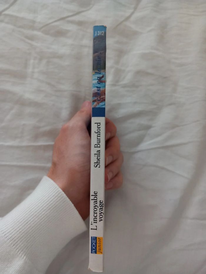 L'incroyable voyage - photo numéro 3