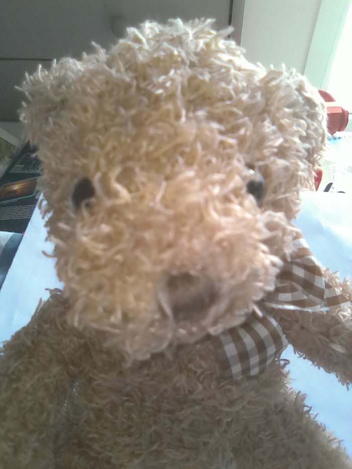 Peluche Ours - photo numéro 3