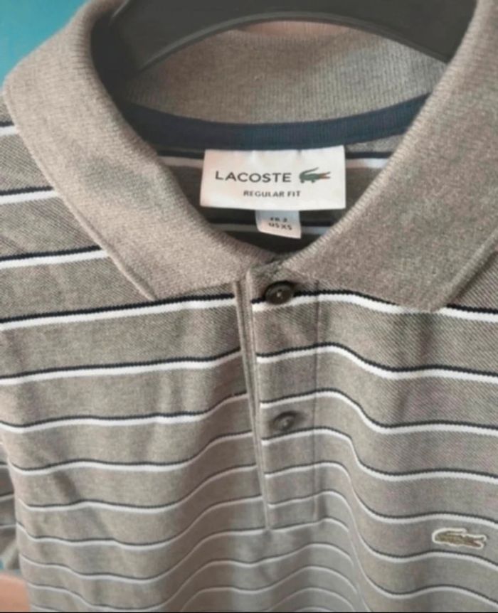 Polo gris Lacoste - photo numéro 2