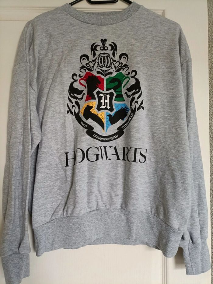 Pull Harry Potter