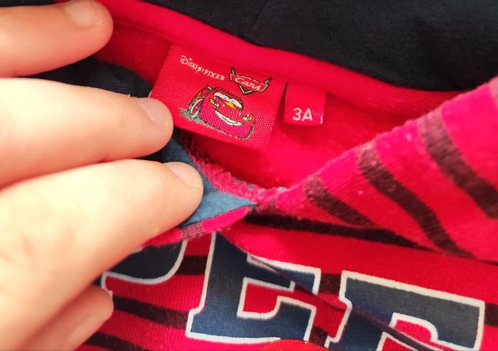 Sweat capuche - photo numéro 2