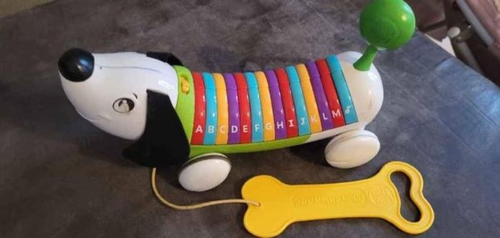 Bingo le chien