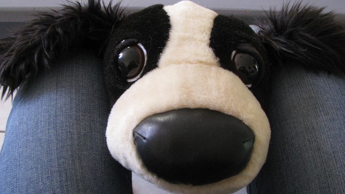 peluche chien - photo numéro 3