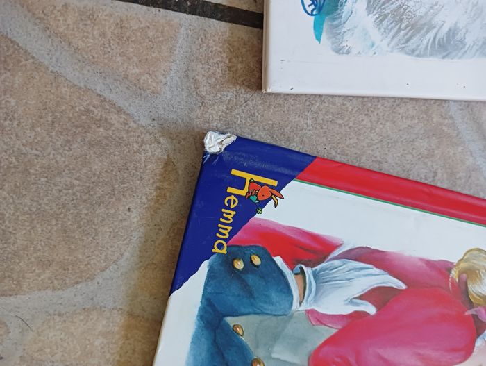 2 livres heidi - photo numéro 2