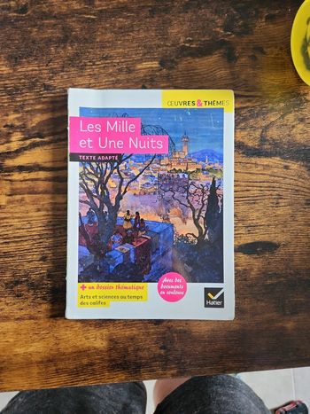 Livre : Les mille et une nuits