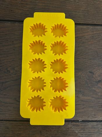 Moule à glaçons en plastique Ricard