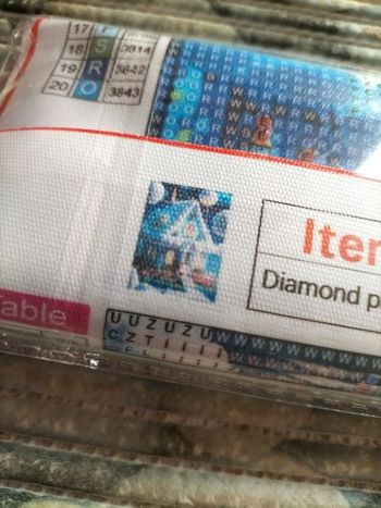 🎨Diamond Painting - Châlet 🎨