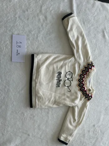Pull Harry Potter
