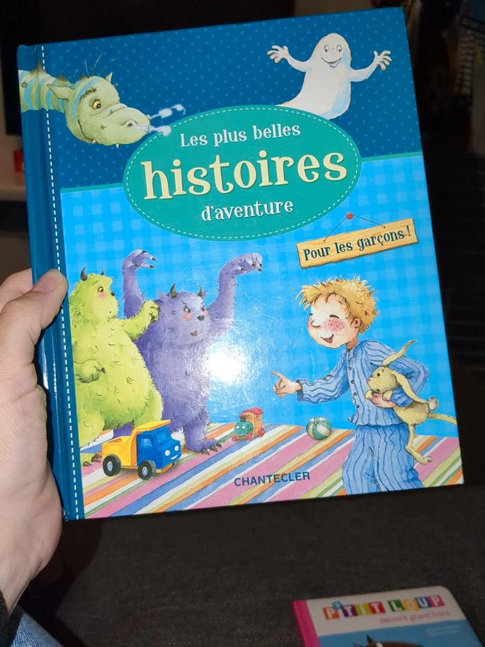 Livre d'histoires pour les garçons