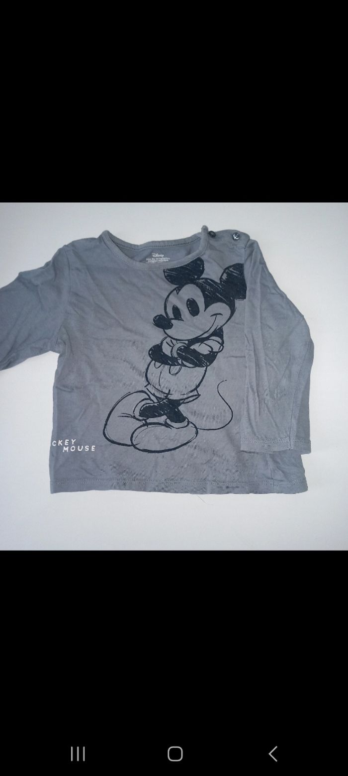 pull fin mickey