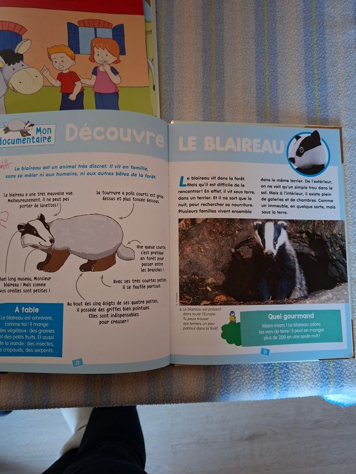 Livres éducatif A et B pour enfants - photo numéro 7