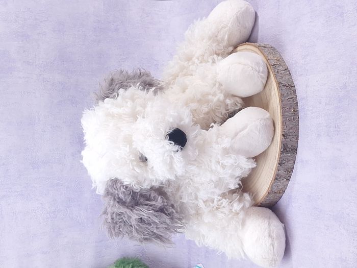 Peluche Jellycat chien de berger very cute Floofie Sheepdog pet - photo numéro 6
