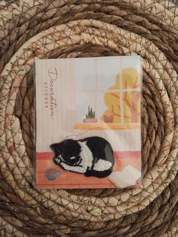 Patch thermocollant chat
