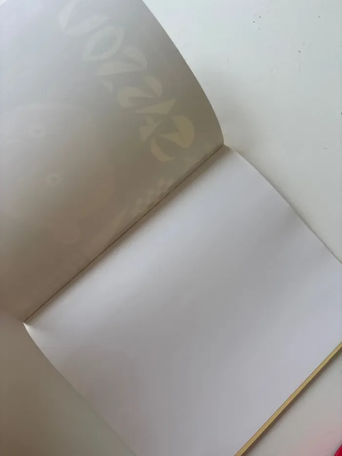 Livre sassou - photo numéro 2