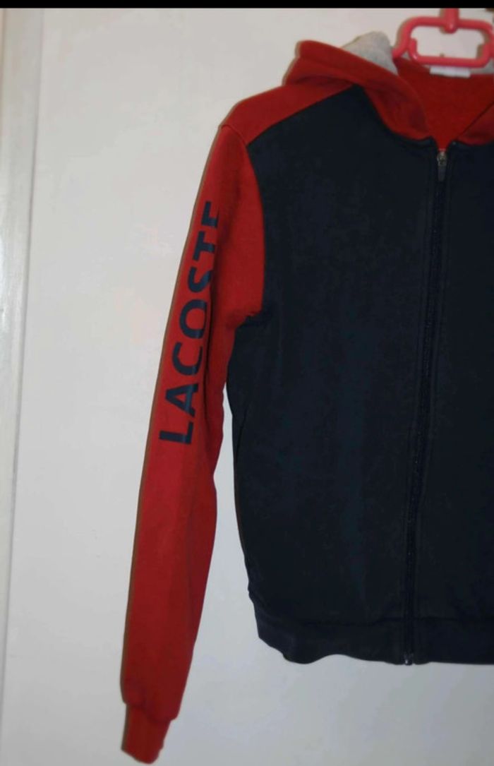 gilet - photo numéro 3