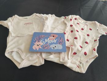 Lot bodies manches courtes