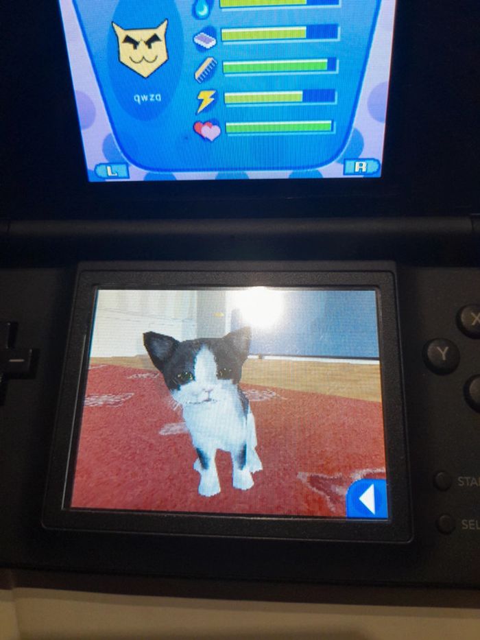 Catz 2 Nintendo DS - photo numéro 17