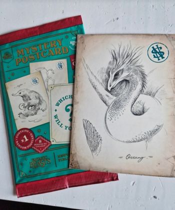 Carte mystery Harry potter 