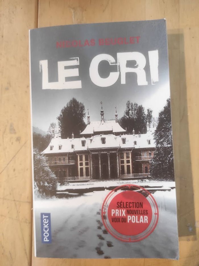 Le cri Nicolas Beuglet Pocket Thriller 2018 - photo numéro 1