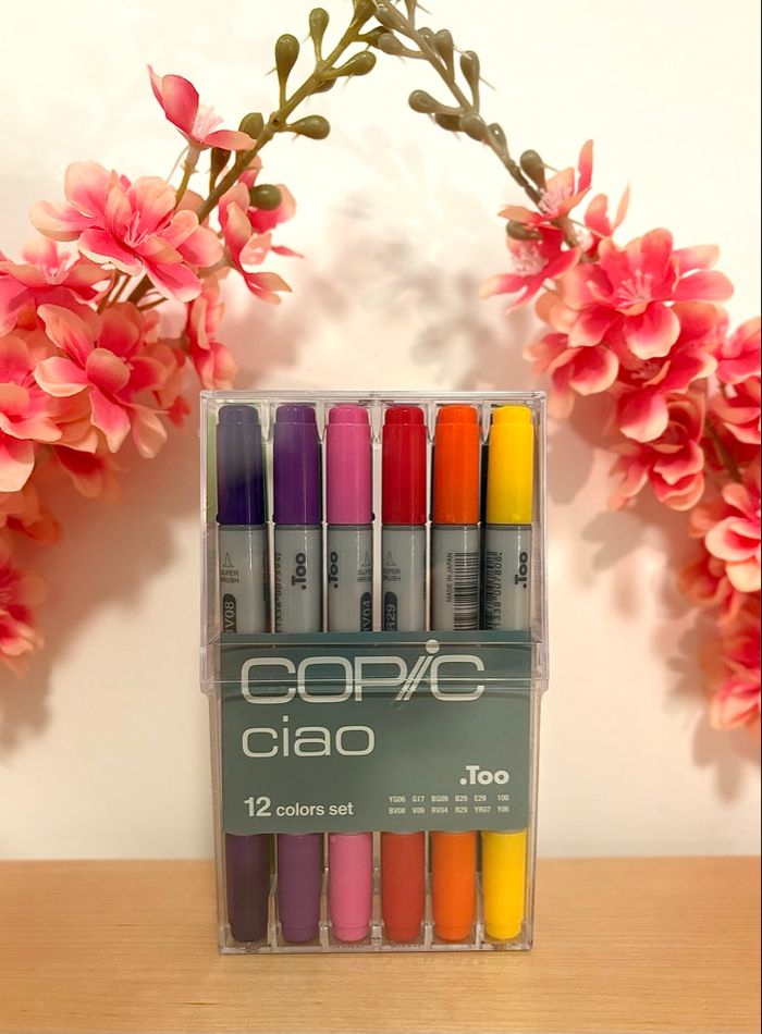 Set de feutre de marque professionnel neuf CIAO - photo numéro 3