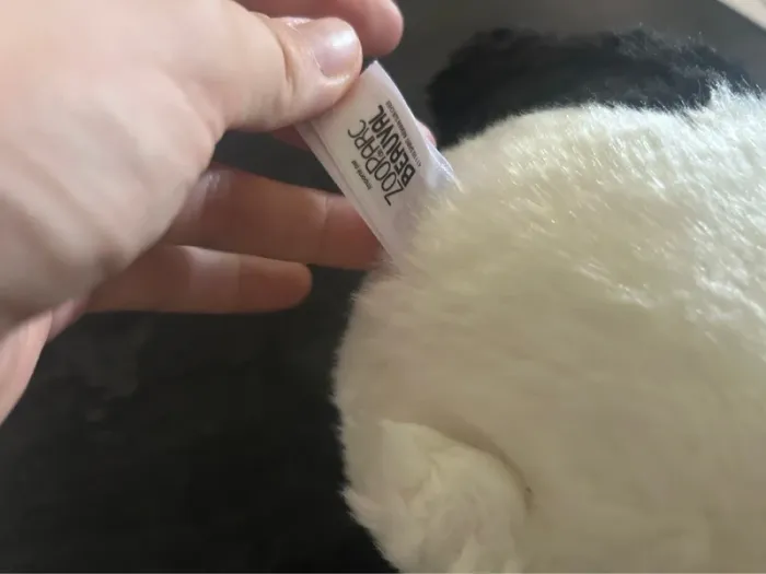 Panda du zoo de beauval - photo numéro 4