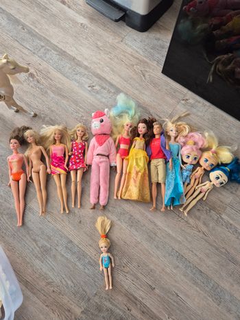 Lot de Barbies + accessoires + chevaux