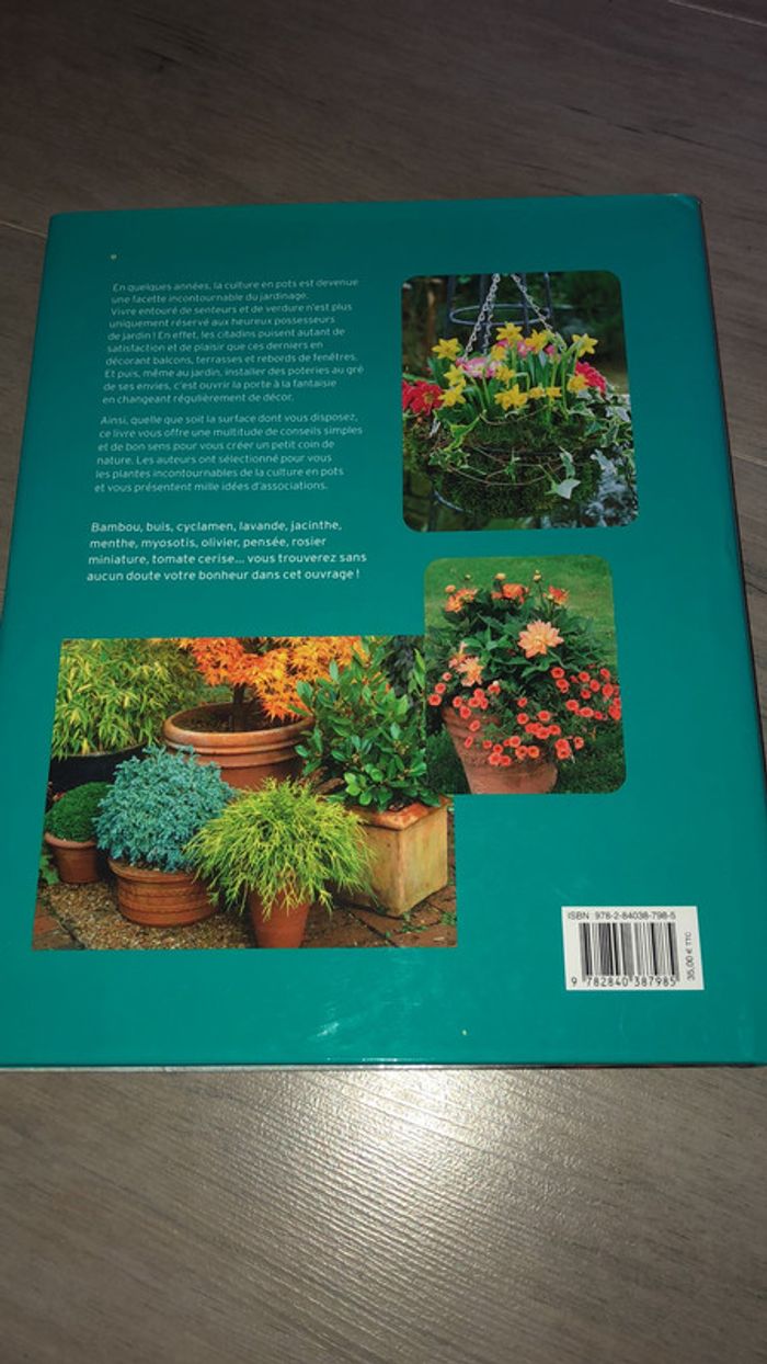 Le jardin en pots - photo numéro 2