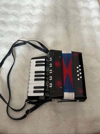 Accordéon pour enfant