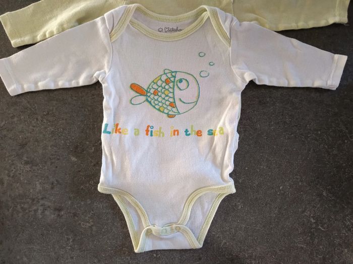 Lot bodies poisson 6 mois - photo numéro 2