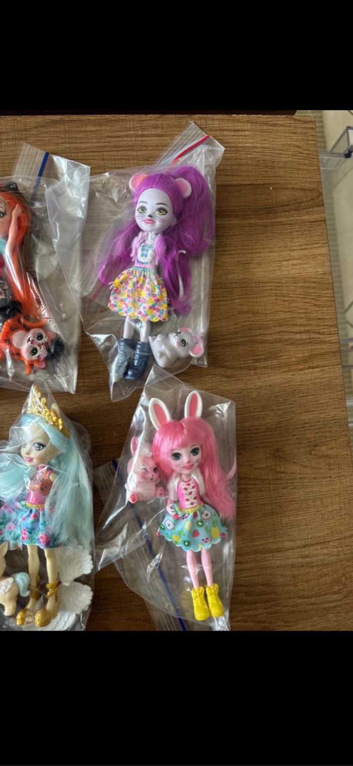 Lot de 6 poupées Enchantimals avec accessoires - photo numéro 3