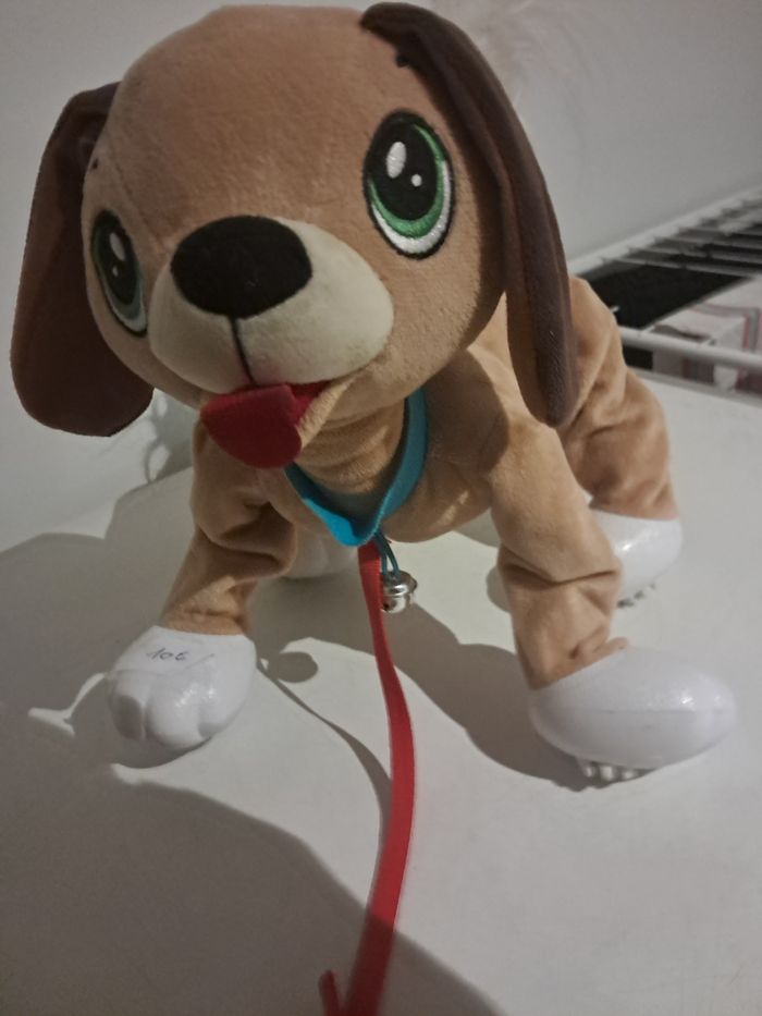 Chien - photo numéro 2