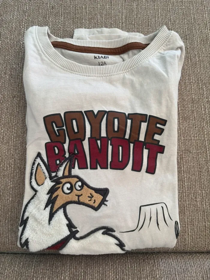 Lot de 2 T shirt manches longues imprimé velours 12 ans - photo numéro 14