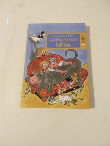 La plus grosse bêtise