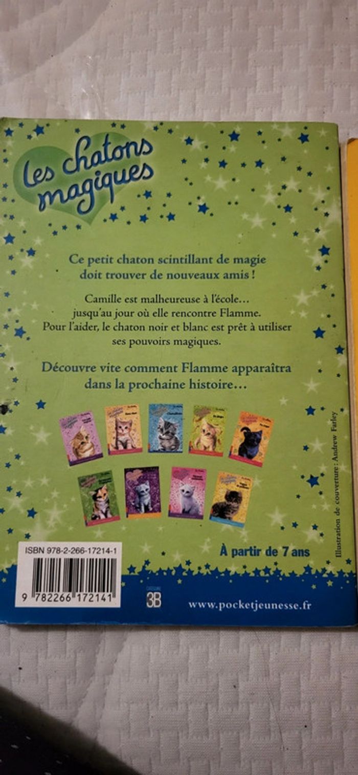 Lot de 3 livres enfants - photo numéro 5