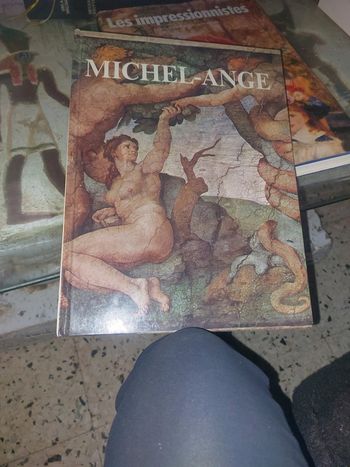 Livre michel-ange
