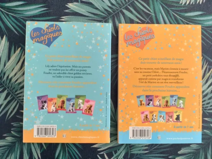 Lot de deux livres Les chiots magiques, tomes 1 et 12 - photo numéro 3