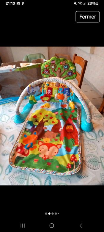 Tapis d'éveil jardin enchanté 