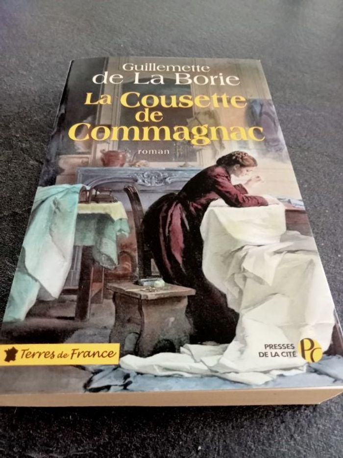 Roman de Guillemette de la borie
