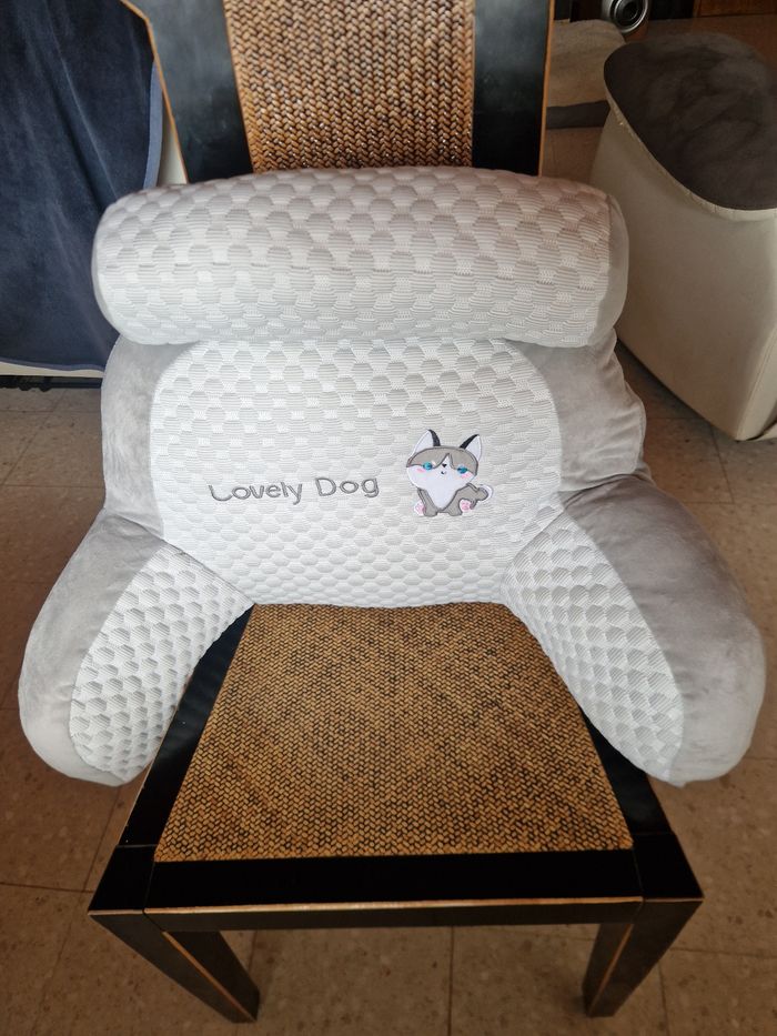 Oreiller de soutien lombaire