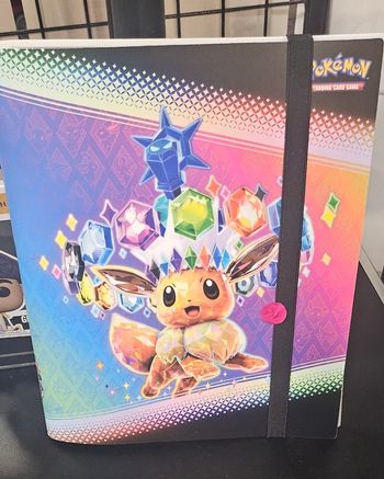 Albums carte pokemon