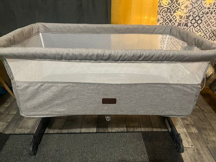 Cododo bébé - photo numéro 5